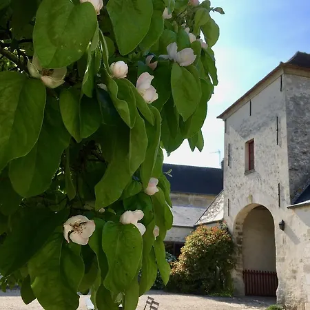 La Cour Lalouette